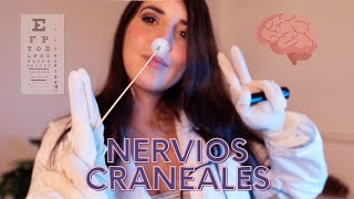 ASMR Examen de NERVIOS CRANEALES 🧠 [upl. by Elise687]