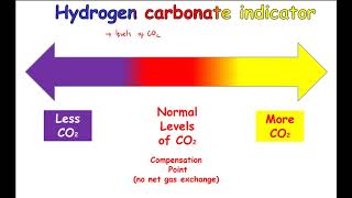 CCEA GCSE Biology Unit 1 Photosynthesis 5 compensation points [upl. by Aklog904]