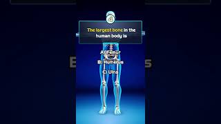 Body Knowledge Quiz  humanbody quiz time shorts [upl. by Flory698]