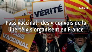 Pass vaccinal  des « convois de la liberté » s’organisent en France [upl. by Maxine310]