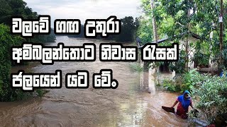 වලවේ ගඟ උතුරා අම්බලන්තොට නිවාස රැසක් ජලයෙන් යටවේ Magama Tv Lk [upl. by Nah425]