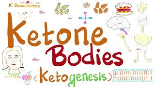 Urine Ketone Bodies  Ketosis and Ketoacidosis  Lab Chemistry [upl. by Starks943]