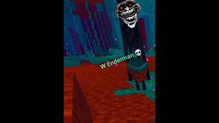 W enderman💀 shorts minecraft [upl. by Nuahsar]