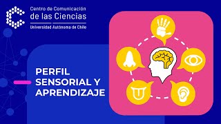 Perfil Sensorial y Aprendizaje [upl. by Dickinson]