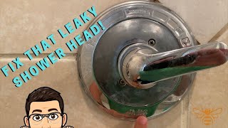 Fixing a leaky shower head Replacing Delta Monitor Series 1400 Handle Cartridge [upl. by Mohun]