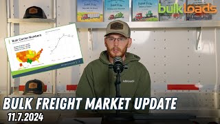 New Administration Coming in Means Markets to Rally  Bulk Freight Market Update [upl. by Anaitit]