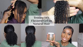 TESTING DIY FLAXSEED GEL  Natural Hair  TheLifestyleLuxe [upl. by Rus]