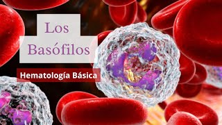 Los Basofilos  Hematología Básica [upl. by Ilyssa310]