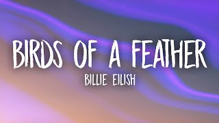 Billie Eilish  BIRDS OF A FEATHER [upl. by Ahsenhoj]