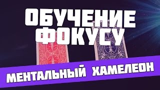 Обучение фокусу  ментальный хамелеон  фокус с картами [upl. by Dunton134]