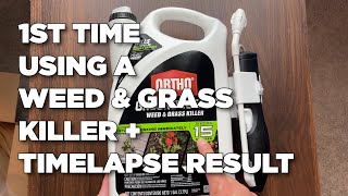 Ortho GroundClear Weed and Grass Killer ReadytoUse with Comfort Wand [upl. by Wesle9]