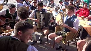 Trio SBS mit Alexander Weisbecker  Swingende Harmonika  von Günter Amann [upl. by Elleryt]