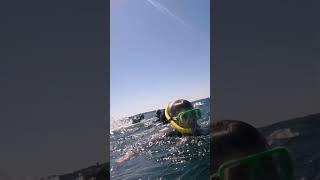 Swimmer Hit by Humpback Whale Tail [upl. by Kin909]