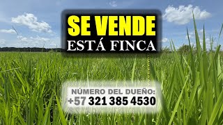 🔥SE VENDE🍃ESTÁ FINCA GANADERA🍃Negociación – venta directa con el dueño 57 321 385 4530🔥 [upl. by Brahear]