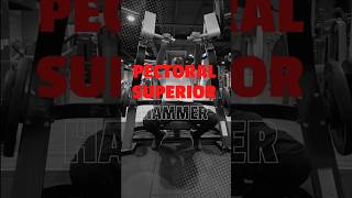 HAMMER PECTORAL SUPERIOR HOMBRE [upl. by Andromada]