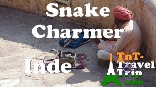 Inde  Charmeur de serpent  Snake charmer [upl. by Elkraps]