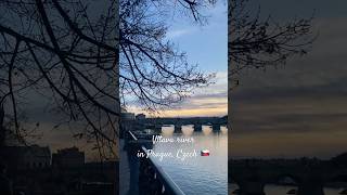 プラハ🇨🇿ブルタバ川  Vltava river in Prague Czech Republic [upl. by Monika731]