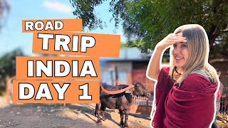 I CANT BELIEVE WHAT I AM SEEING First time in India 🇮🇳  Road Trip  Part 1 [upl. by Nive]