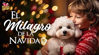 El milagro de la Navidad  Película Cristiana [upl. by Nnaeinahpets]