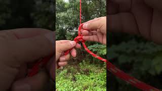 Wild Butterfly Knot bushcraft survivalskills camping outdoors [upl. by Sileas]