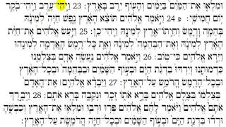 Torah Reading  Genesis Chapter 1 [upl. by Kirt275]