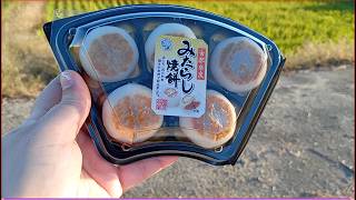 Hidden 100Yen Delights in Japan 🤑🍡 – Restaurant amp Supermarket Finds in a Japanese Town [upl. by Aikin]