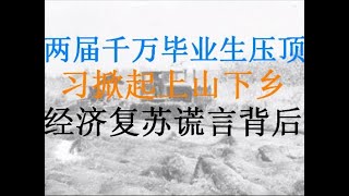 财经冷眼：两届1000多万大学生毕业即失业， 教育部半强制学生去艰苦地方！习近平上山下乡大步推进！经济复苏谎言戳穿！（20201203第396期） [upl. by Trix784]