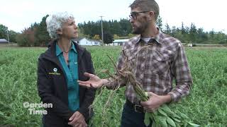 Portland Ashwagandha Farm [upl. by Ahsieni782]