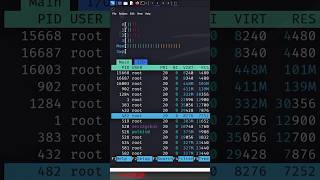 How to Use the htop Command on Linux shorts [upl. by Anilrac]