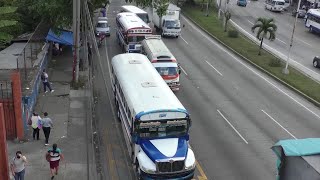 Cifras de accidentes de tránsito provocados por el transporte colectivo [upl. by Cousins]