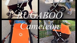 ОБЗОР КОЛЯСКИ Bugaboo Cameleon 2 в 1  Irina Budet [upl. by Haveman]