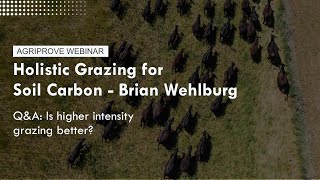 Holistic Grazing for Soil Carbon with Brian Wehlburg  QampA Is higher intensity grazing better [upl. by Rosabelle]