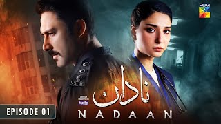 Nadaan  Episode 01  5th Oct 2024  Ahmed Ali Akbar amp Ramsha Khan   Presented By Happilac Paints [upl. by Nocaed68]