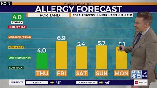 Pollen counts rise as temperatures do the same in Portland [upl. by Eric104]