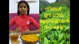 Mint Tea Recipe  How to make refreshing mint tea  Malayalam FUNKIDZ WORLD [upl. by Mylo]