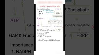 The Pentose Phosphate Pathway [upl. by Hound]