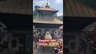 Famous temple in Nepal pasupati nath temple [upl. by Hayifas179]