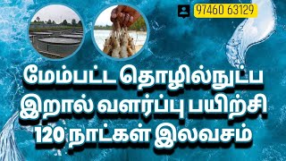 shrimp farming tamilnadu training 120 days for free [upl. by Krysta11]