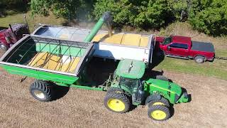 20241002 Rouch Farms Soybean Harvest [upl. by Bride]