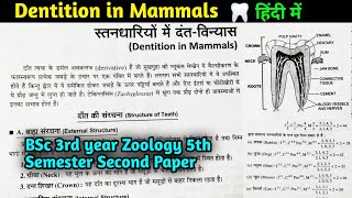 Dentition in Mammals  BSc 3rd year Zoology 5th semester Second paper in Hindi [upl. by Kaplan]