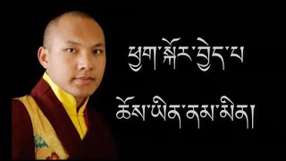 Dharma teaching by HH Karmaparumtekkarmaekhenpo karmapa rinpochekarma87 [upl. by Lancaster973]