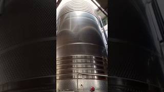 100 000 liters wine terracina italy tour winemaking winery grape italiancuisine [upl. by Sirret]