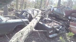 Some Old Cars In The Woods at Friendship Auto Salvage [upl. by Tabby]