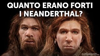 Chi Vincerebbe Umani Moderni vs Neanderthal [upl. by Samaj]