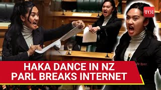 High Haka Drama In New Zealand Parliament Woman MP Tears Controversial Bill Leads Stir [upl. by Teahan]