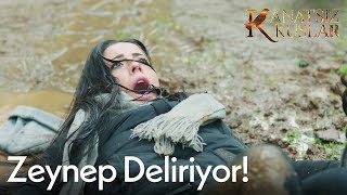 Zeynep deliriyor😲  Kanatsız Kuşlar🕊🕊 [upl. by Lenoyl]