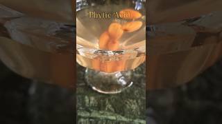 Soaked Almonds benefits protein phytic Acid shots shortsvideo shortsviral ytshorts shorts [upl. by Sivrat195]