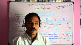 Biochemistrycarbohydratesmetabolism 5 Tamil [upl. by Aisatana]