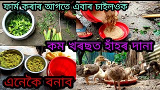 কম খৰছত হাঁহৰ দানা এনেকৈ বনাওক 🔥। Home made feed for Duck Farm। Duck feed Making।Duck Farm Assam [upl. by Ayotak]