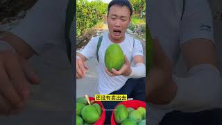 Satisfying fresh fruit mango apple fruit shorts [upl. by Wilen]